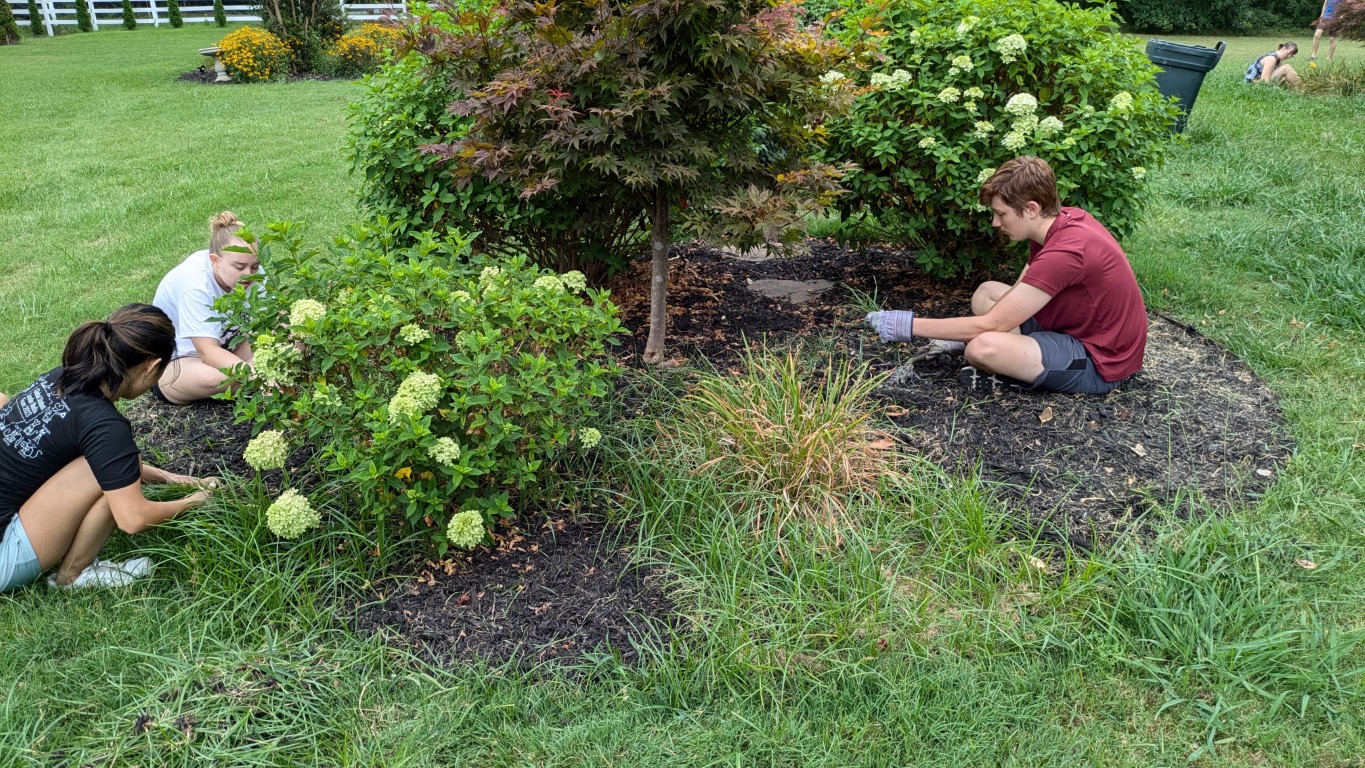 garden party garden party